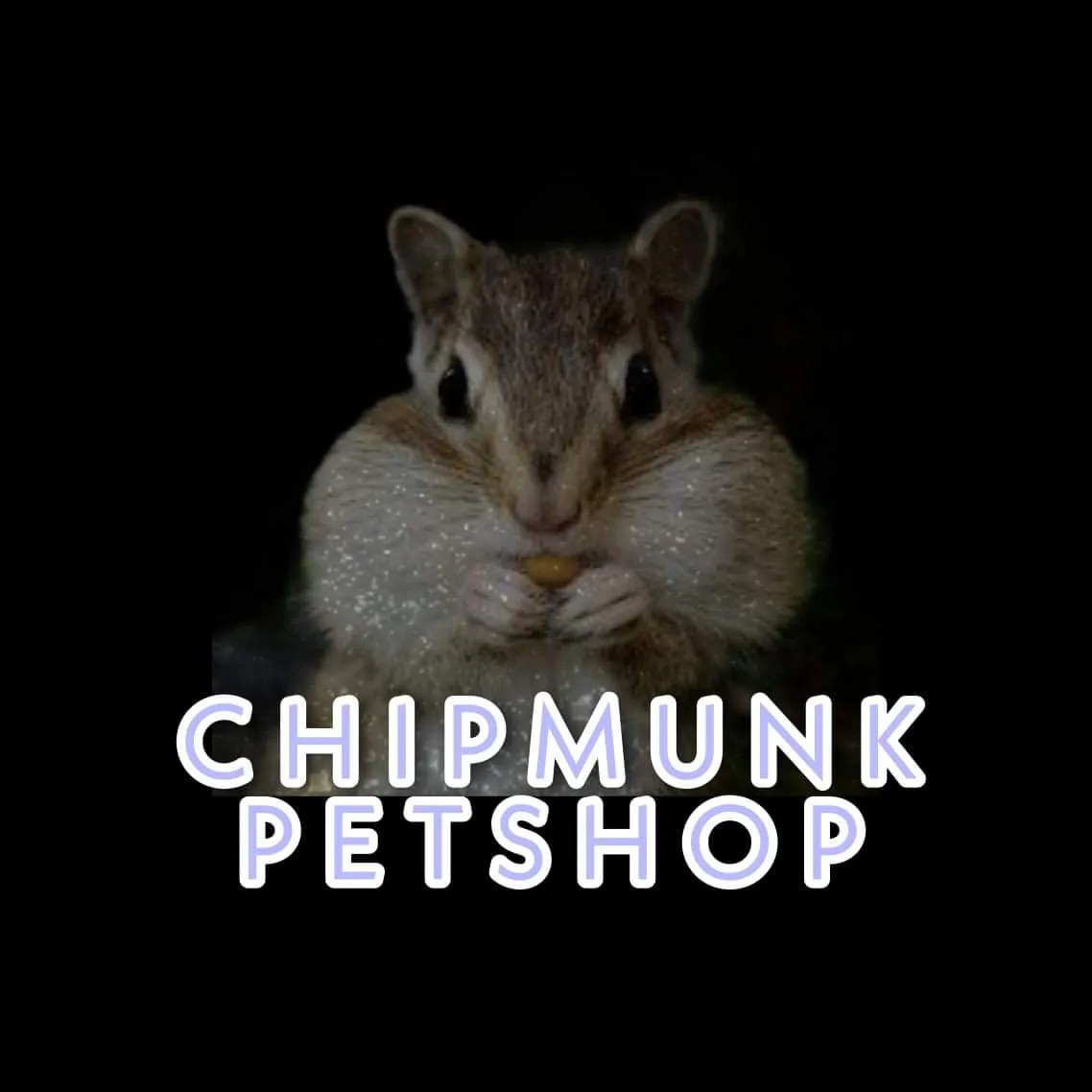 https://chipmunkpetshop.websites.co.in/files/551403/business/logo/logo-1707648841.jpeg